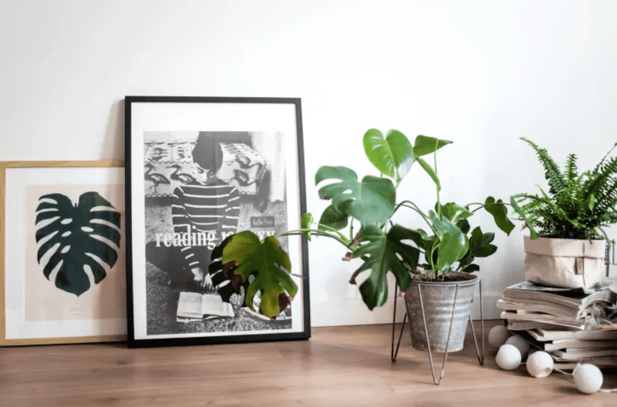 Rental-Friendly Ways to Display Art in Your Home