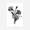 Tiger Animal Black And White Portrait Print