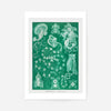 Algae Vintage Antique Green Print