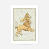 Leo Major And Leo Minor Astrology Antique Print