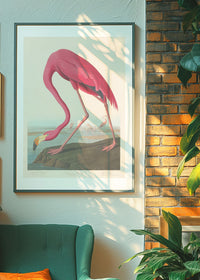 American Flamingo Vintage Antique Bird Print