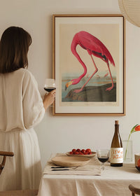 American Flamingo Vintage Antique Bird Print