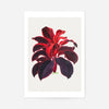 Hand drawn Hawaiian Ti plant print