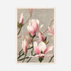 Magnolia by l Prang Flower Print
