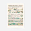 School and Family Charts - Classification of Plants Botanical Chart