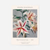 Japanese Flowers Ogawa Kazumasa Flowers Print