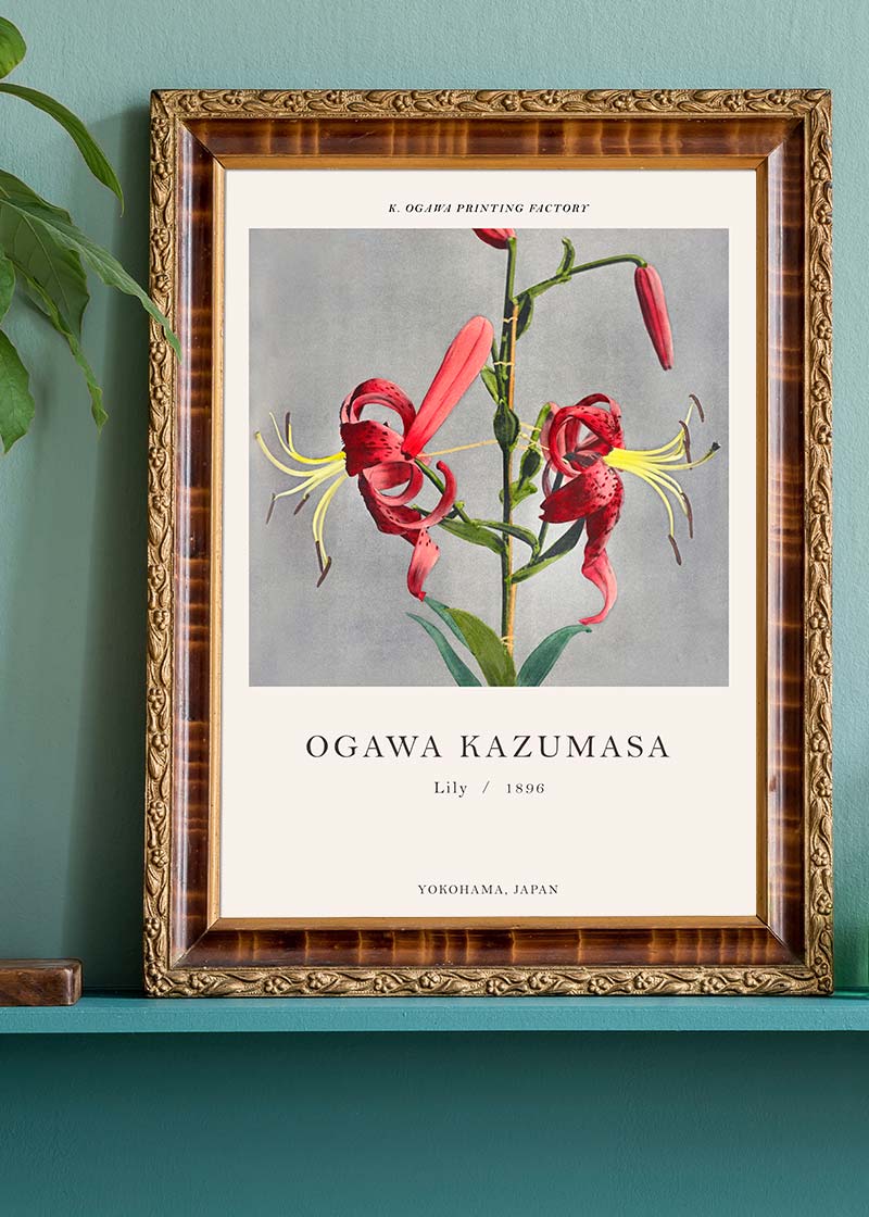 Lily Ogawa Kazumasa Flowers Print