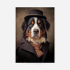 Bernese Mountain Dog Portrait Print