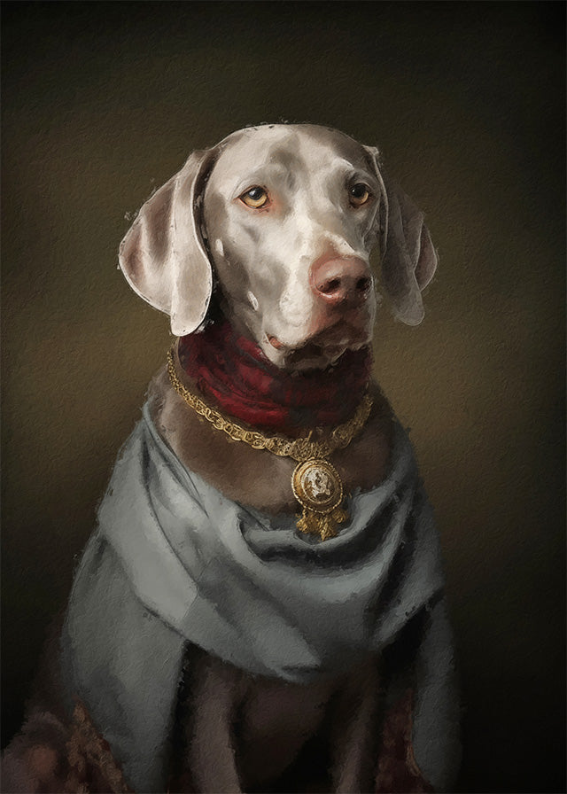 Weimaraner Dog Portrait Print