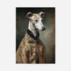 Whippet Dog Portrait Print