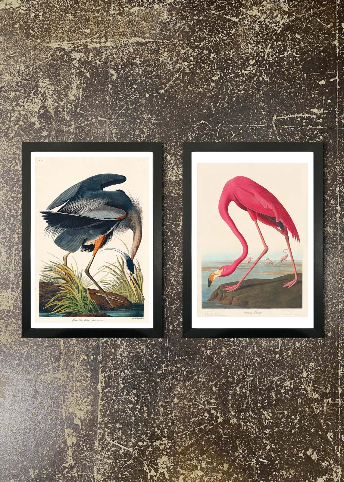 2 Prints & Frames - Blue Heron & Flamingo