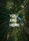 You Are Here Forest Neon 30x40cm Matte Clearance Print