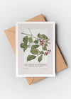 Vintage Holly A6 Christmas Greetings Card