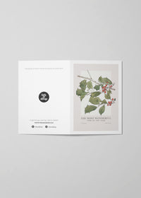 Vintage Holly A6 Christmas Greetings Card