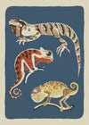 Three Lizards Illustration Print by Elena Pavlovna Gertik