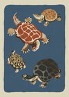 Tortoises Illustration Print by Elena Pavlovna Gertik