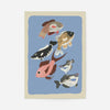 Framed freshwater fish illustration art print