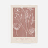 Dried Flowers Print