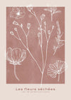 Dried Flowers 61x91cm Matte Clearance Print