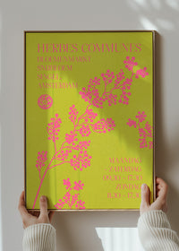 Common Herbs Amsterdam Market Poster Print