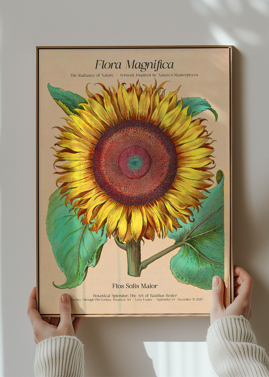 Flora Magnifica Sunflower Poster Print