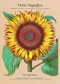 Flora Magnifica Sunflower Poster Print