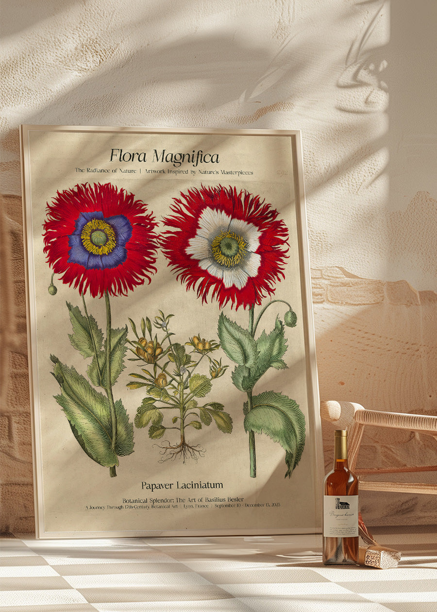 Flora Magnifica Poppy Poster Print