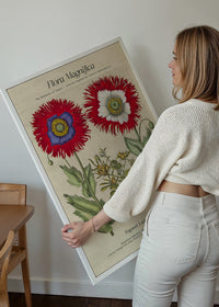 Flora Magnifica Poppy Poster Print