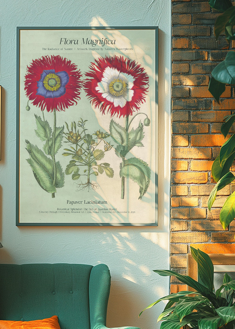 Flora Magnifica Poppy Poster Print