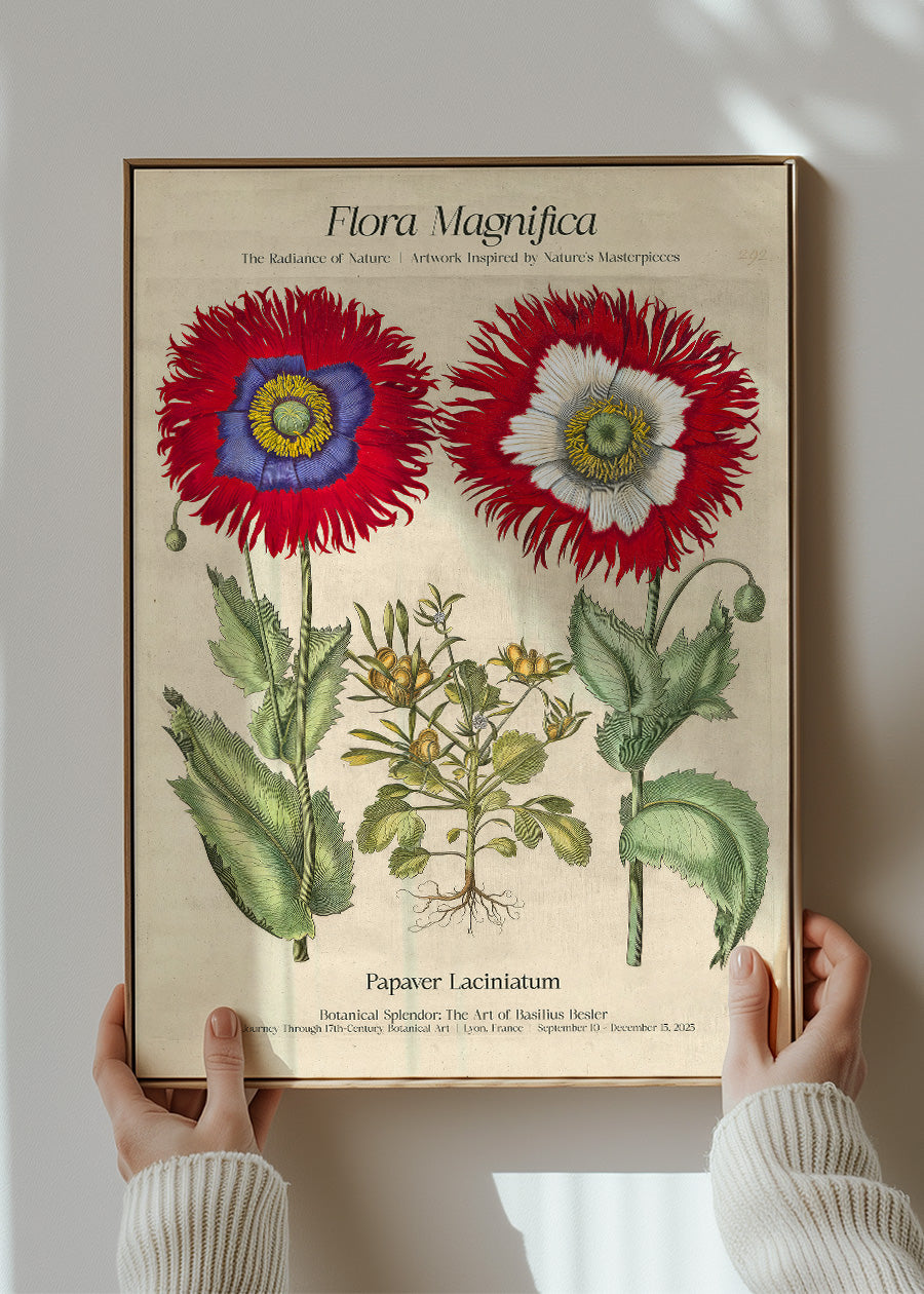 Flora Magnifica Poppy Poster Print