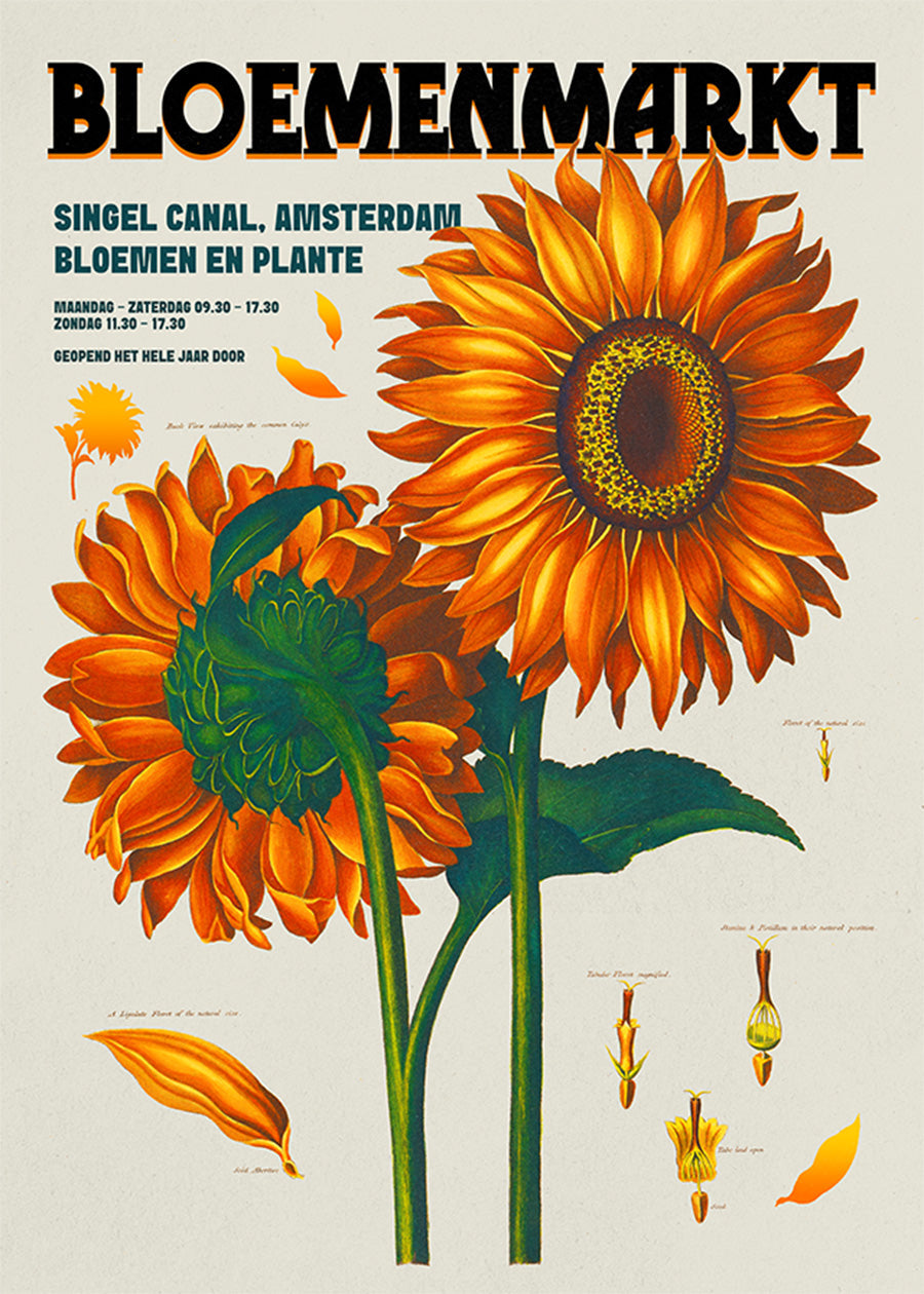 Amsterdam Bloemenmarkt Flower Market Sunflowers Print