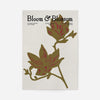 Bloom & Blossom Brown Flowers Poster