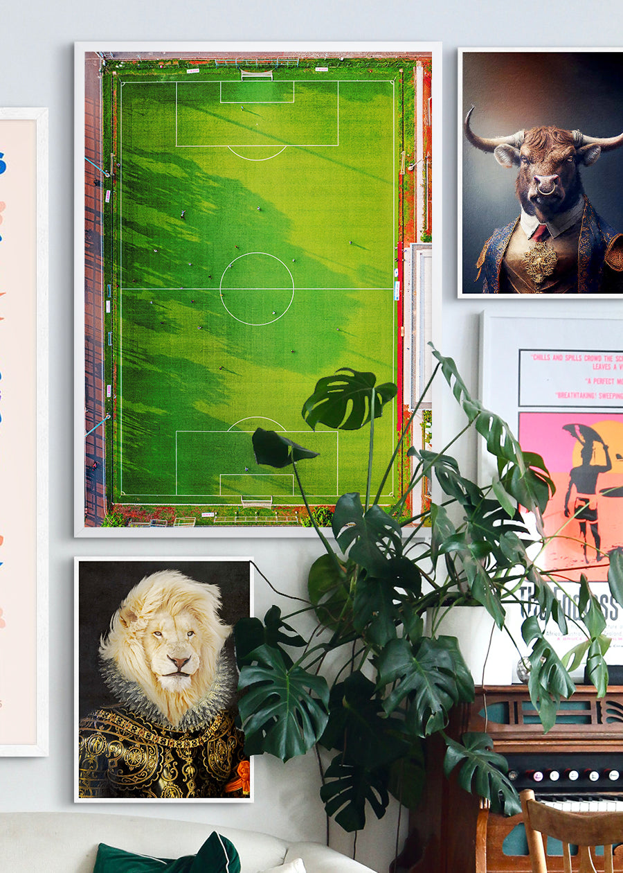 Football Pitch Photography Print