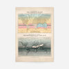 Currents of air and distribution of rain art print