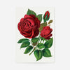 Red Rose Vintage Lithograph Print