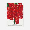 Fay's Prolific Currant Vintage Lithograph Print