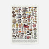 Vintage Mushrooms Chart Poster 2
