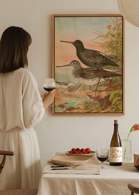 Spotted Redshank Vintage Bird Print by Johann Friedrich Naumann