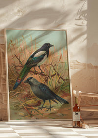 Magpies Vintage Bird Print by Johann Friedrich Naumann