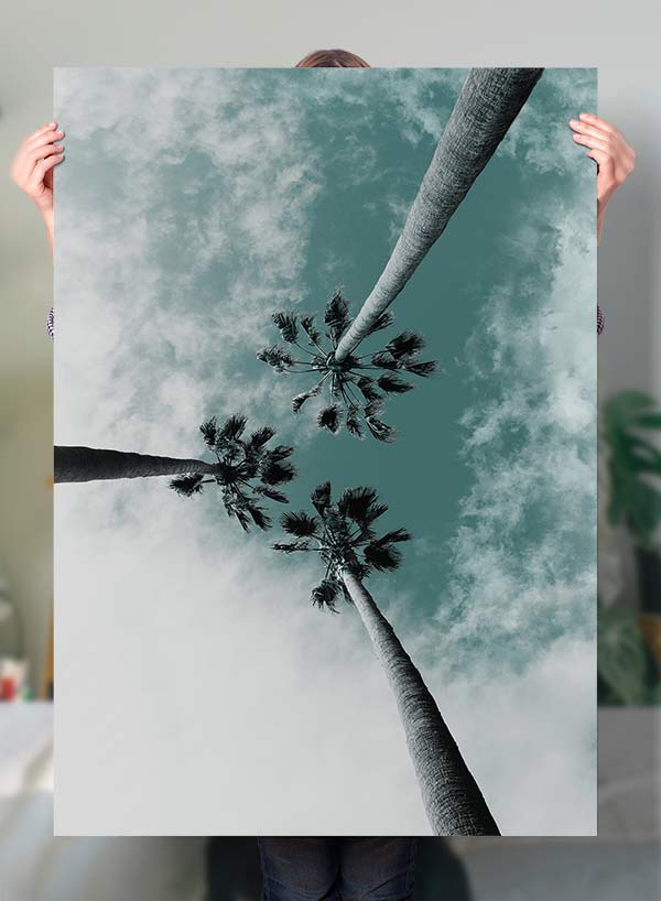 3 Palm Trees Perspective Print