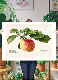 Apple Landscape Vintage Antique Print