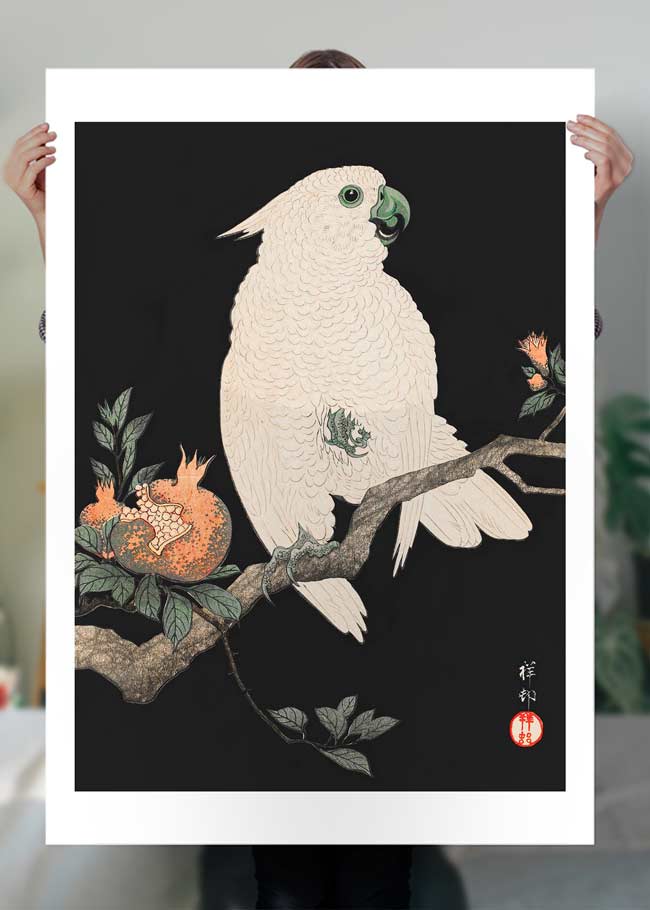 Cockatoo Parrot Antique Japanese Print