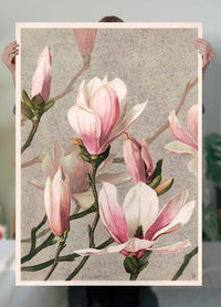 Magnolia by l Prang Flower Print