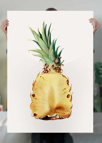 Vintage Half Pineapple Fruit Illustration Print