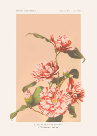 Striped Camellias Ogawa Kazumasa Flowers Print
