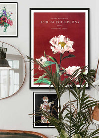 Hærdaceous Peony Ogawa Kazumasa Flowers Print