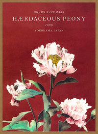 Hærdaceous Peony Ogawa Kazumasa Flowers Print