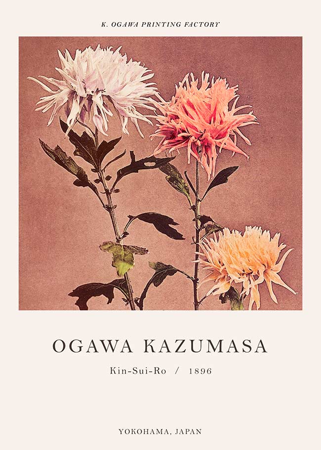 Kin-sui-ro Ogawa Kazumasa Japanese Flowers Print
