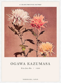Kin-sui-ro Ogawa Kazumasa Japanese Flowers Print
