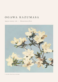 Japense Azaleas Ogawa Kazumasa Flowers Print